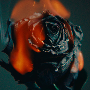 色情片露营做爱
